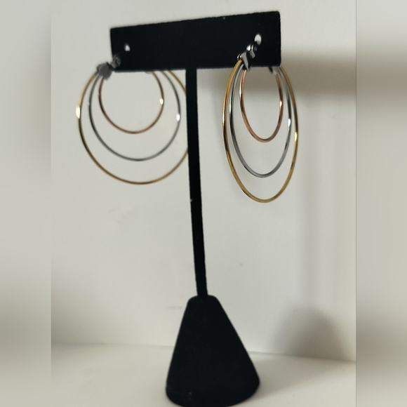 Stainless steel earrings - Picture 1 of 1